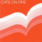 CatsOnFire-SolidWork7-web