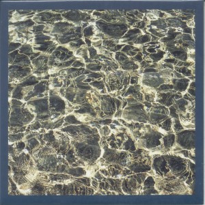 Clientele-lacewings7