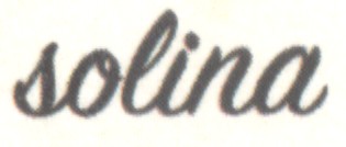Logo-Solina